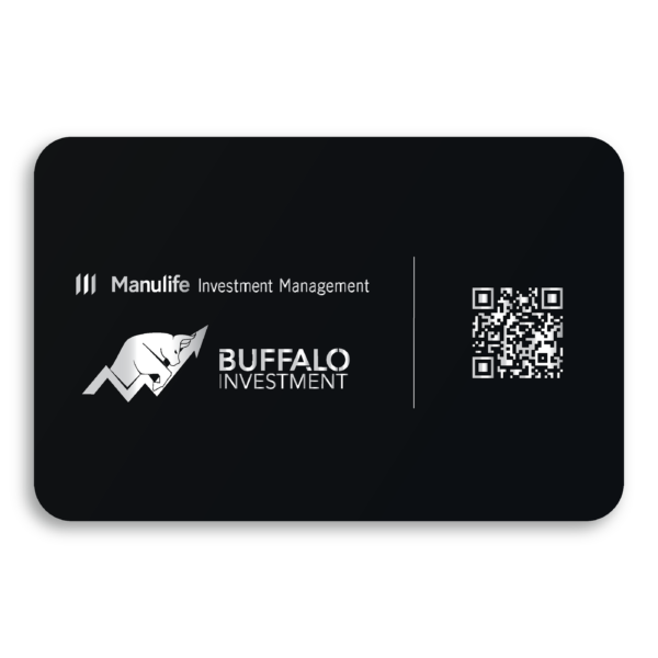 Buffalo E-Business Card - Image 4