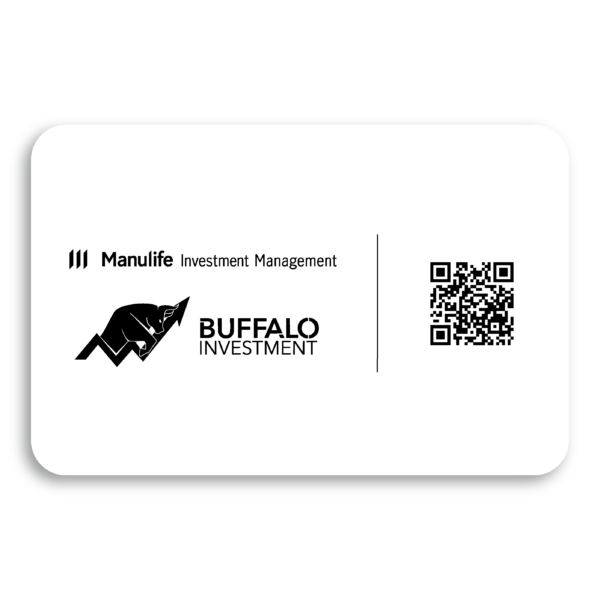 Buffalo E-Business Card - Image 3