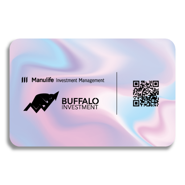 Buffalo E-Business Card - Image 2